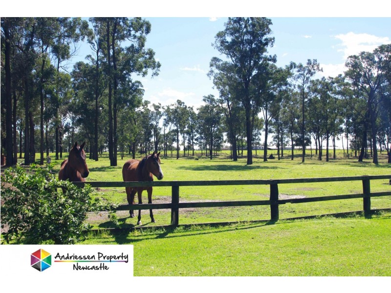 60 Metcalfe Lane, Sawyers Gully NSW 2326