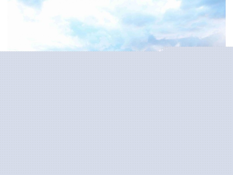 599 Dungog Road, Hilldale NSW 2420