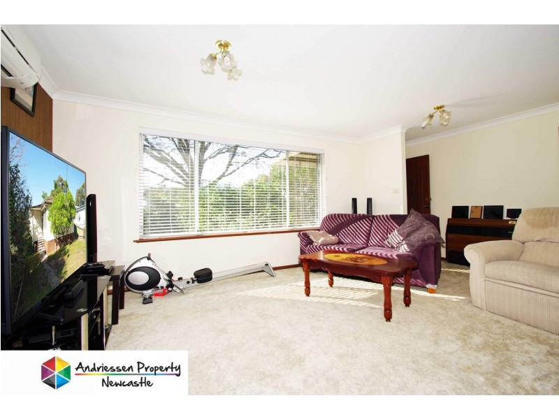 14 Beeson Street, Cardiff South NSW 2285