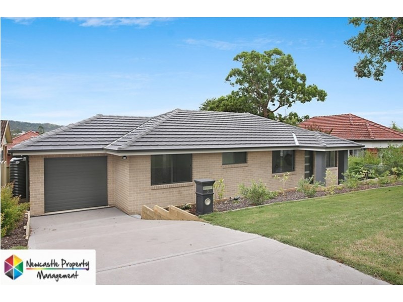 2 Alfred Street, Cardiff NSW 2285