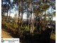 21 Nancy Close, Cameron Park NSW 2285