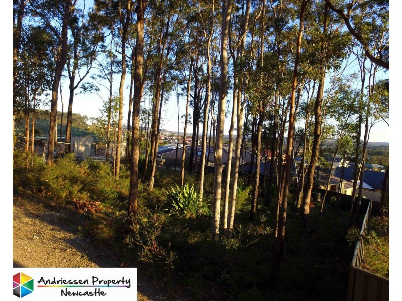 21 Nancy Close, Cameron Park NSW 2285
