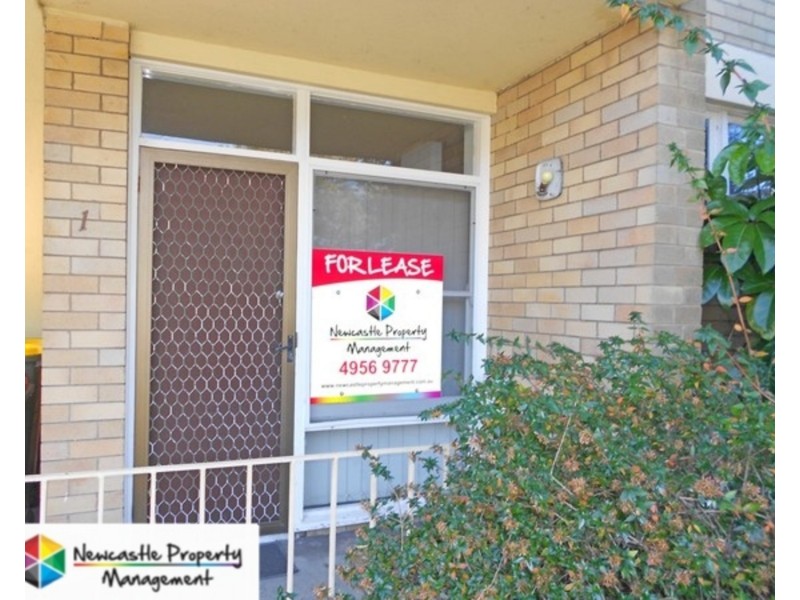 1/30 Railway Road, New Lambton NSW 2305