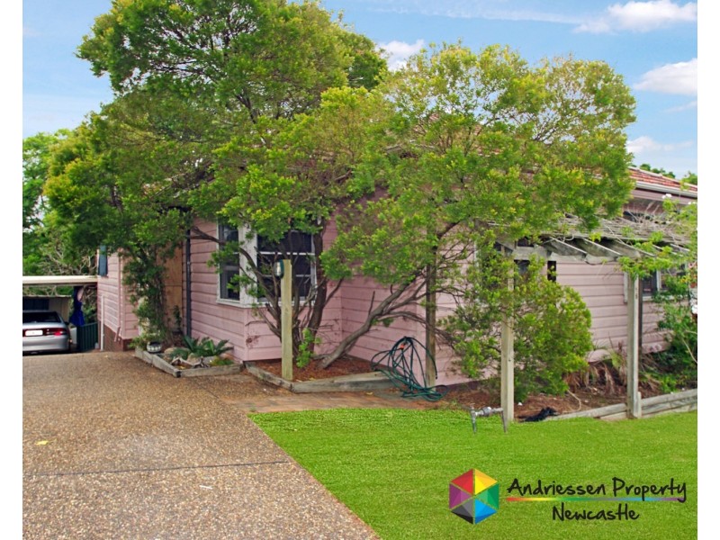 16 Curry Street, Cardiff NSW 2285