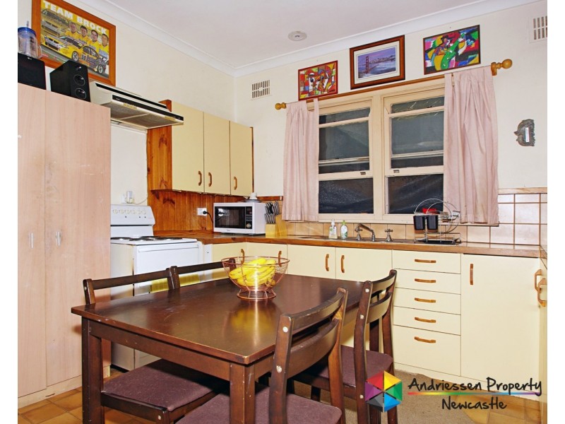 16 Curry Street, Cardiff NSW 2285