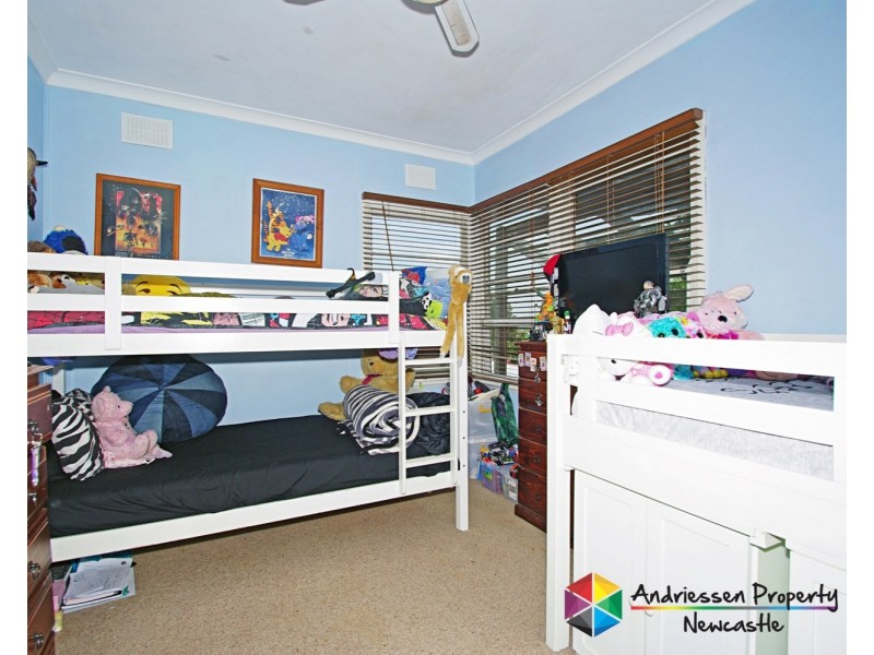 16 Curry Street, Cardiff NSW 2285