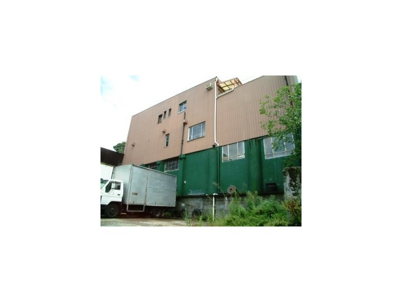 233B Johnston Street, Annandale NSW 2038