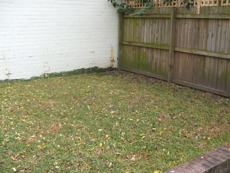 41 Amy Street, Erskineville NSW 2043