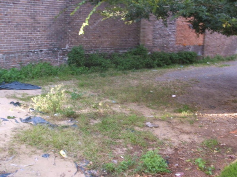 56 & 58 Wyndham Street, Alexandria NSW 2015