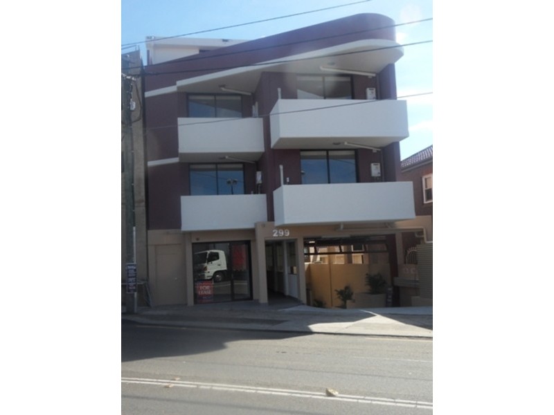 299 Stanmore Road, Petersham NSW 2049