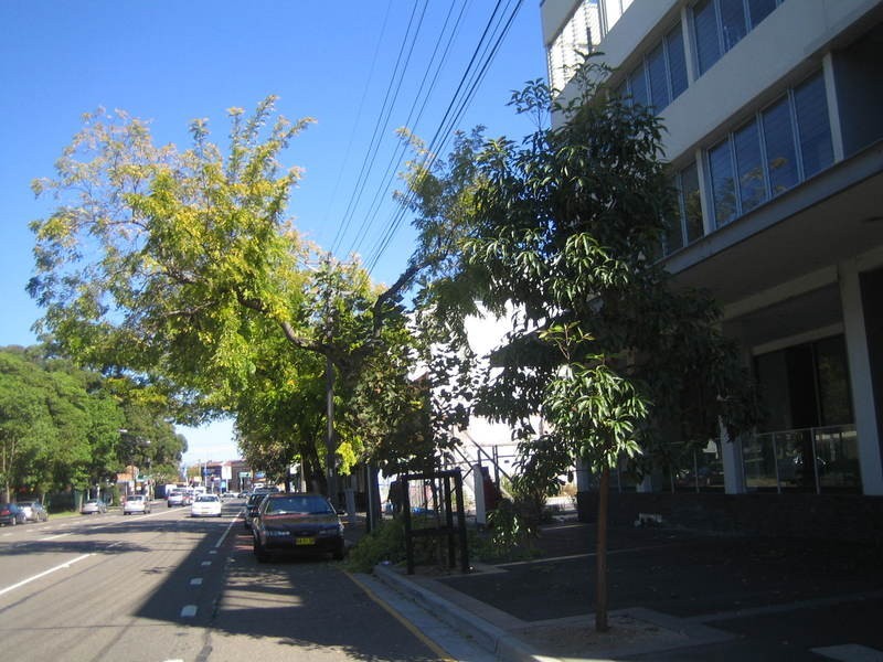 8/654 Botany Road, Alexandria NSW 2015