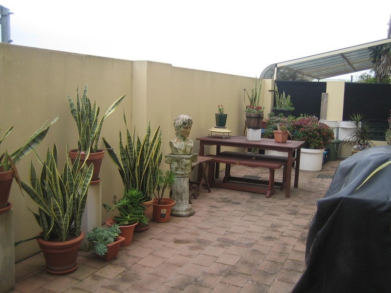 13/501 Wilson Street, Newtown NSW 2042