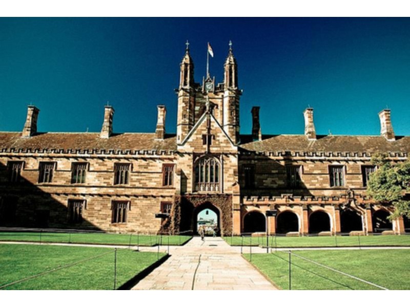 42 Gibbens Street, Camperdown NSW 2050