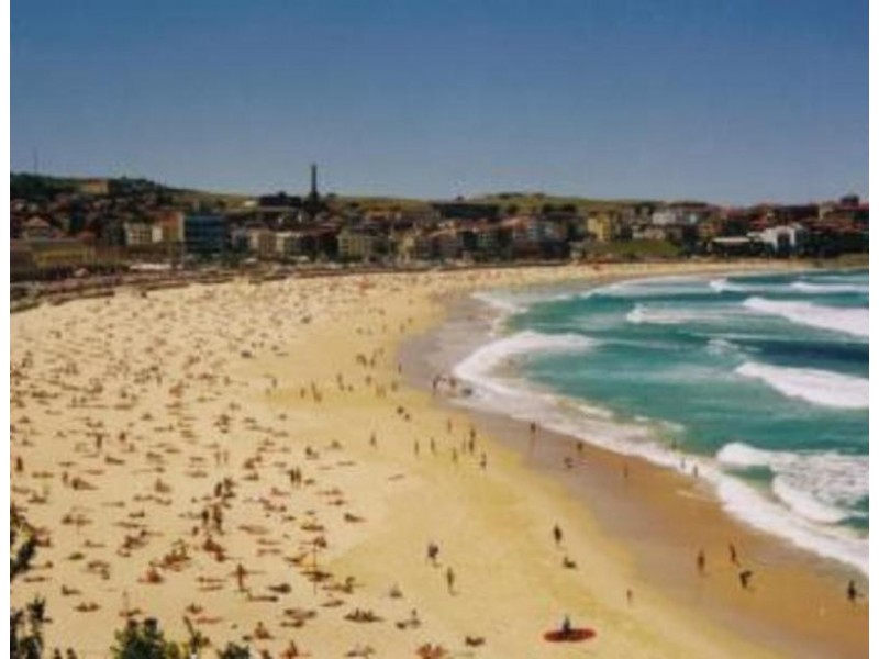 16 Wallace Street, Waverley NSW 2024