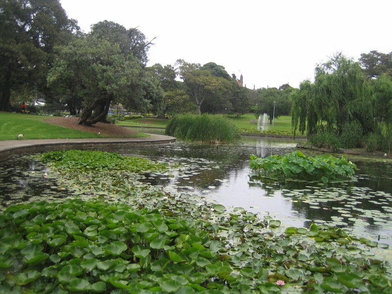 2100/185-211 Bay Street, Ultimo NSW 2007