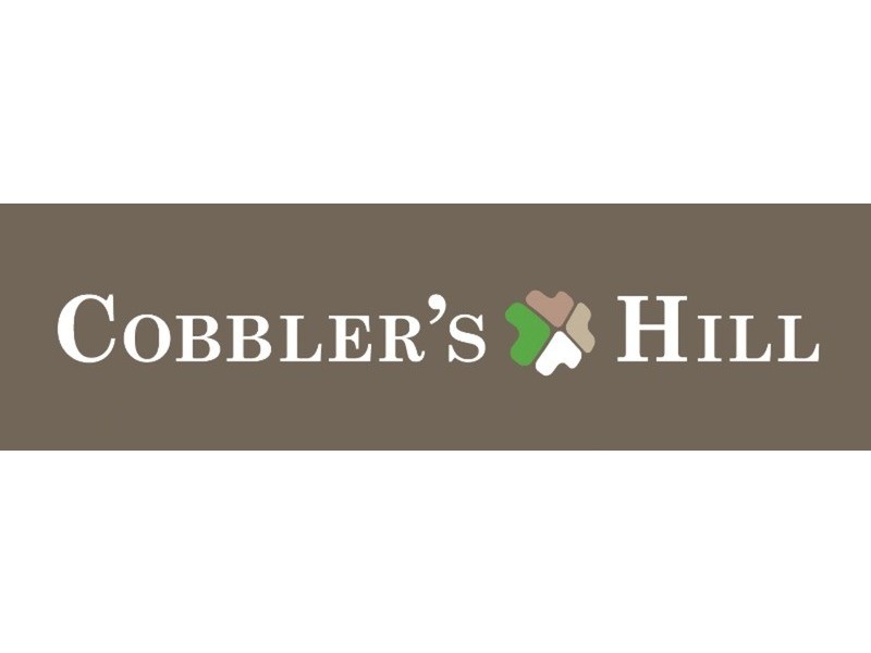 45 Bonar Street, Arncliffe NSW 2205