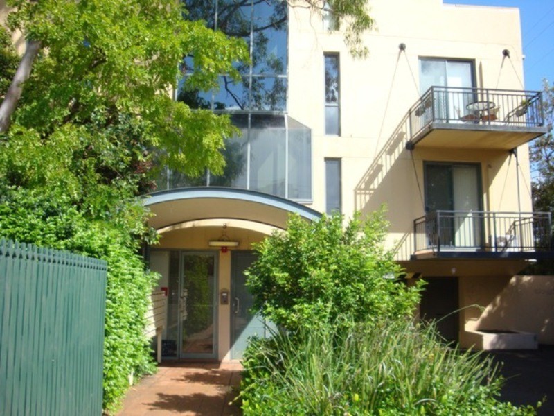 31/8 Cavill Avenue, Ashfield NSW 2131
