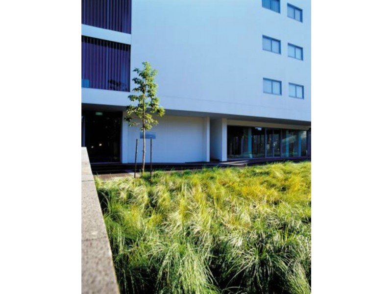 28/147 McEvoy  Street, Alexandria NSW 2015