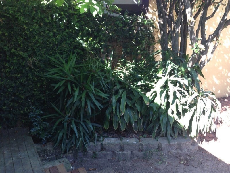 146 Darley Street, Newtown NSW 2042