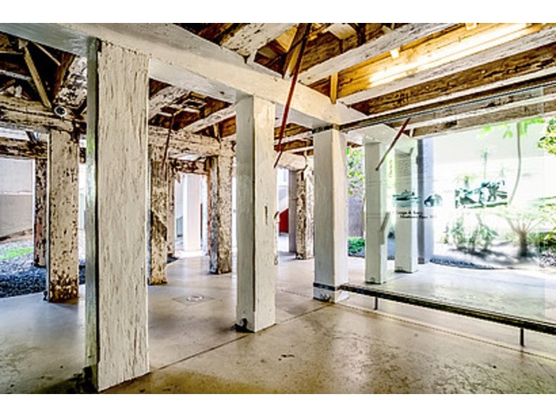 50/1 Gladstone Street, Newtown NSW 2042