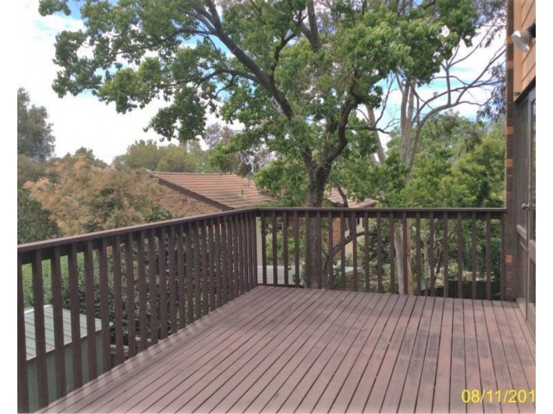 53/16 Alma Road, Padstow NSW 2211