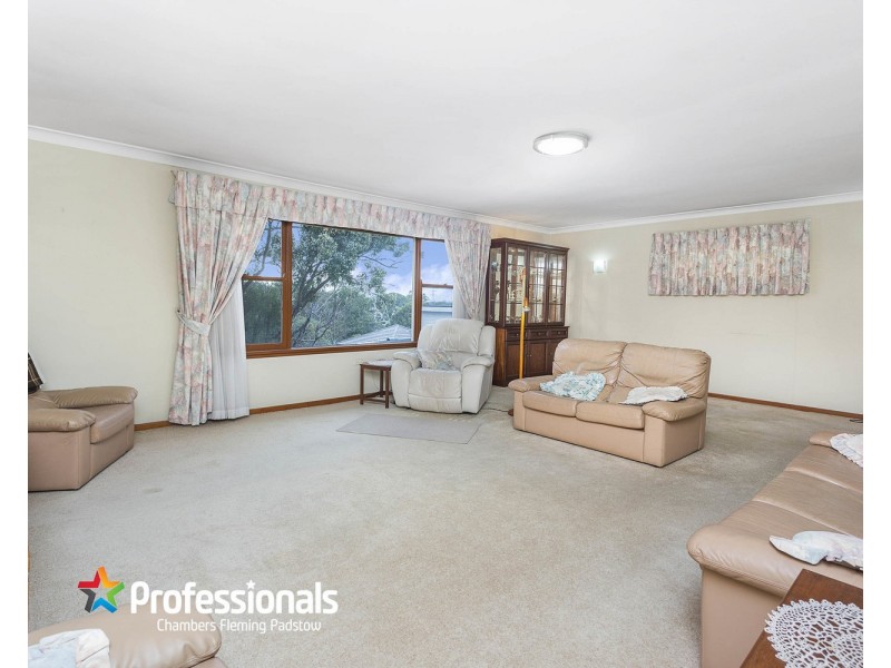 20 Hall Crescent, Padstow NSW 2211