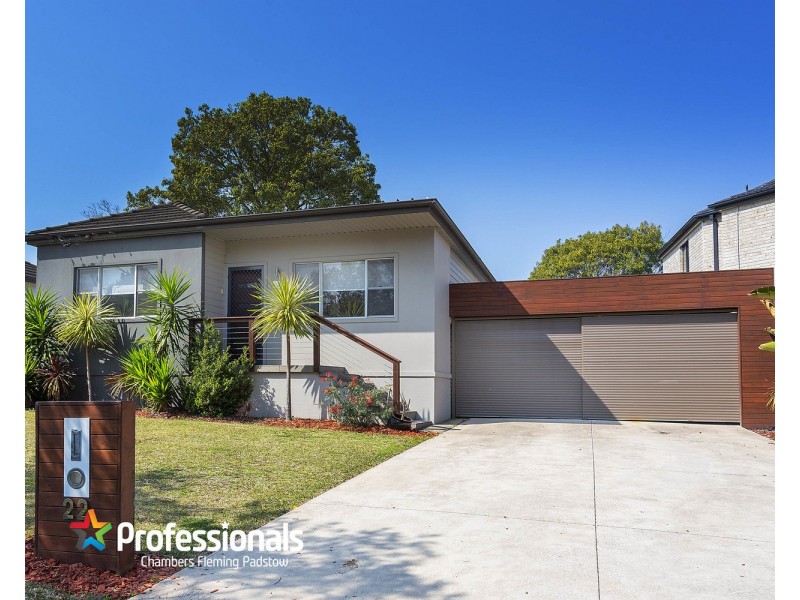 22 Clive Street, Revesby NSW 2212