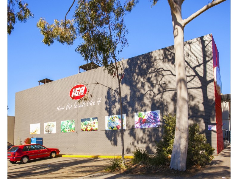 155 Wellington Road, Chester Hill NSW 2162