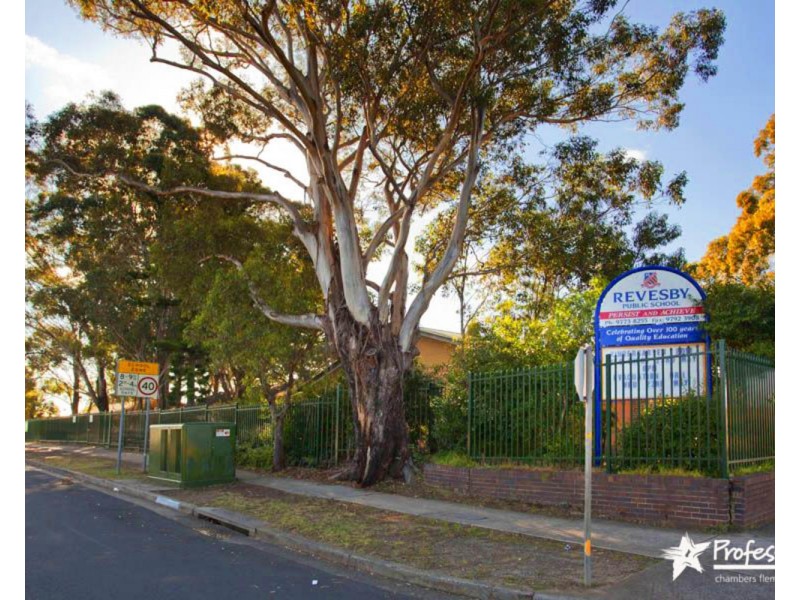 100 Mackenzie Street, Revesby NSW 2212