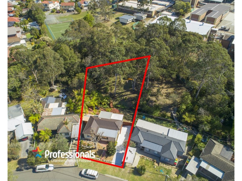 33 Clive Street, Revesby NSW 2212