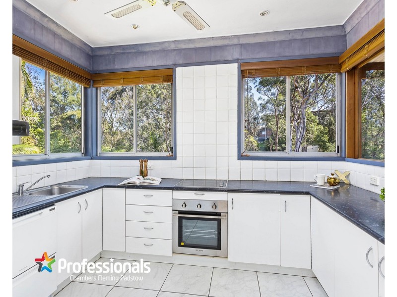 33 Clive Street, Revesby NSW 2212
