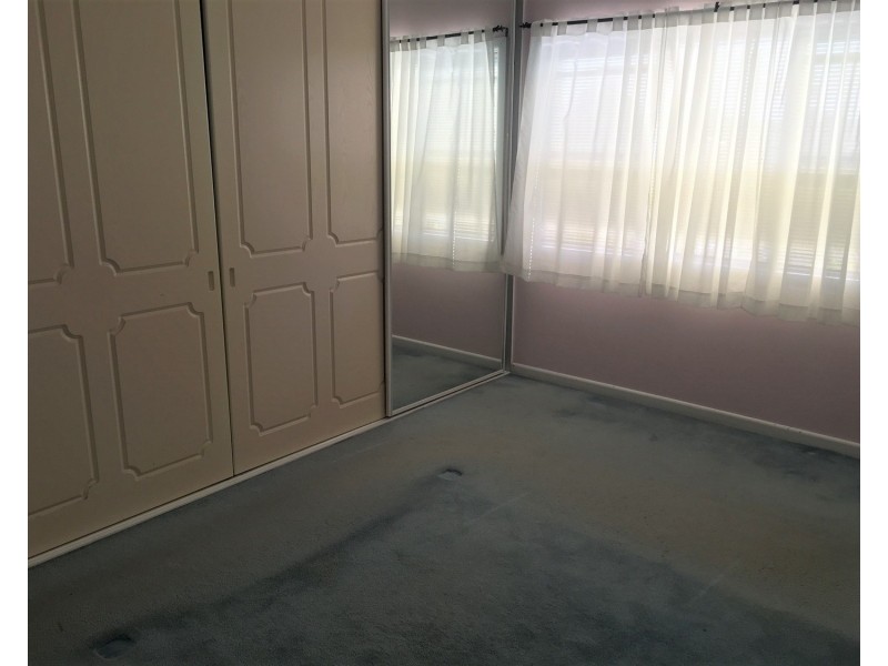 13 Banks Street, Padstow NSW 2211