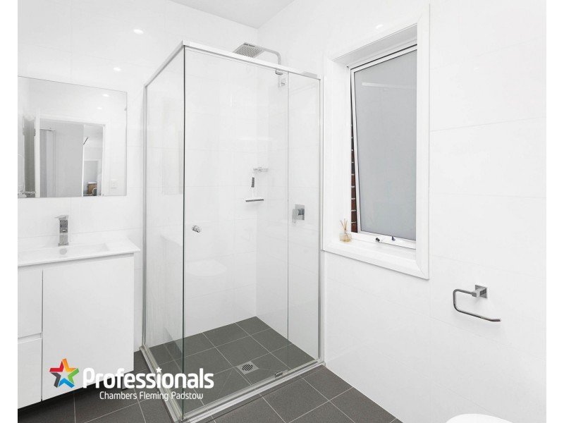 24 Albert Street, Revesby NSW 2212