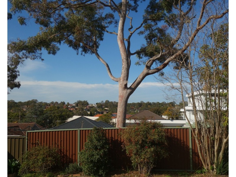 4 Lorraine Avenue, Padstow Heights NSW 2211