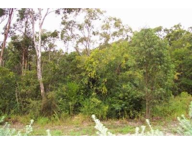 44B Thomas Street, Picnic Point NSW 2213