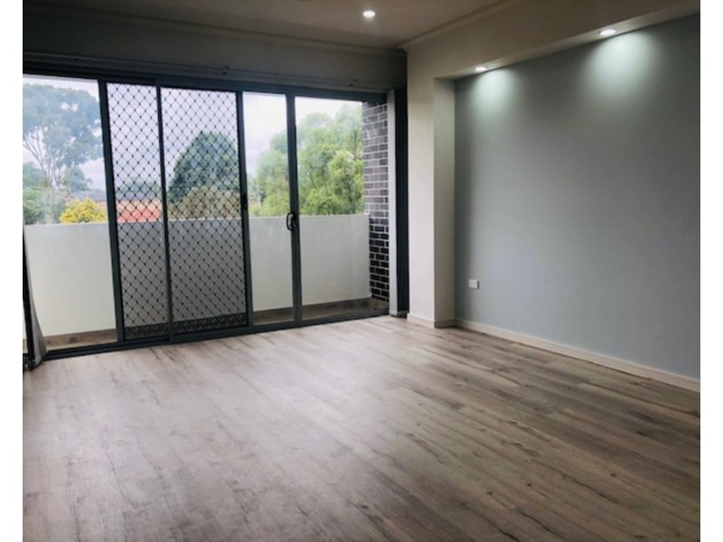 19 Rhonda Street, Revesby NSW 2212