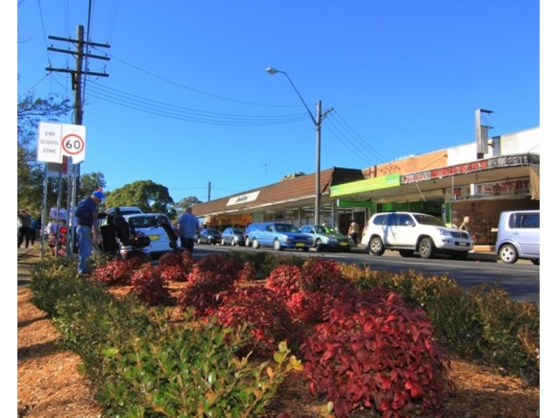 20 Gorman Avenue, Panania NSW 2213