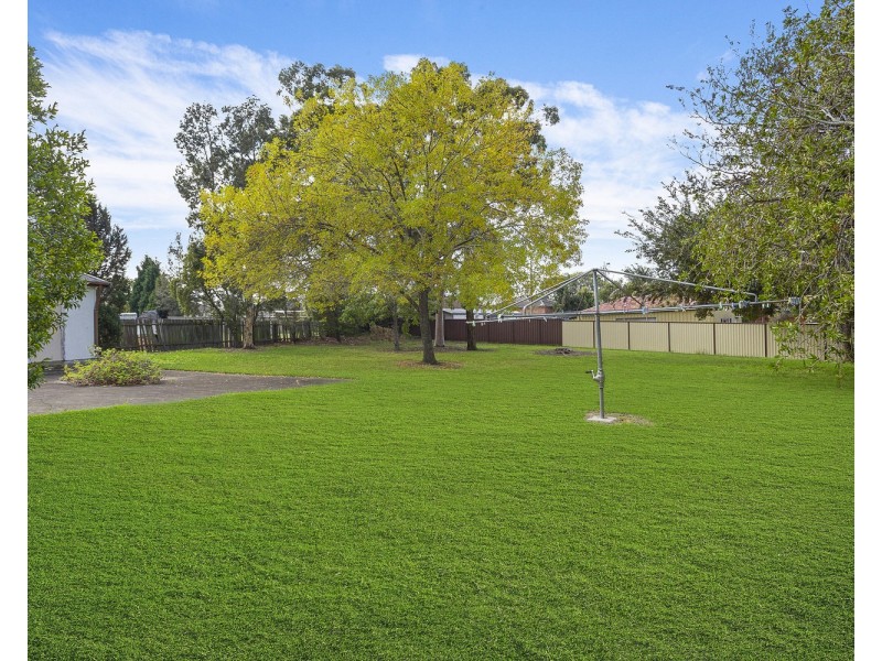 17 Starr Avenue, Padstow NSW 2211