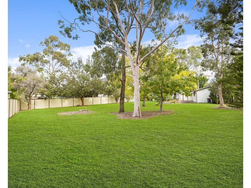 17 Starr Avenue, Padstow NSW 2211