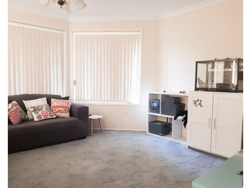 17 Hendy Avenue, Panania NSW 2213