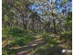 5 Shepherd Avenue, Padstow Heights NSW 2211