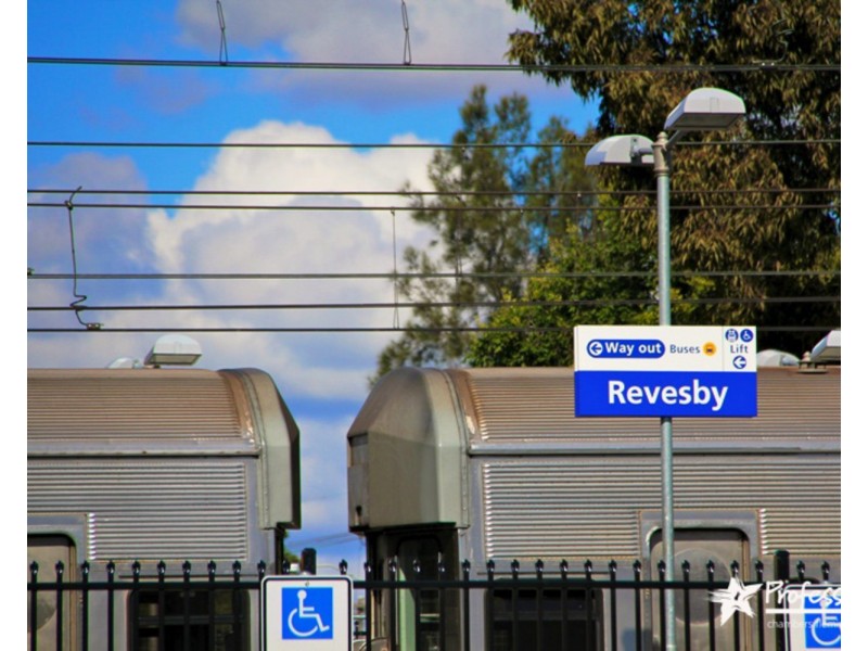 24 Presland Avenue, Revesby NSW 2212