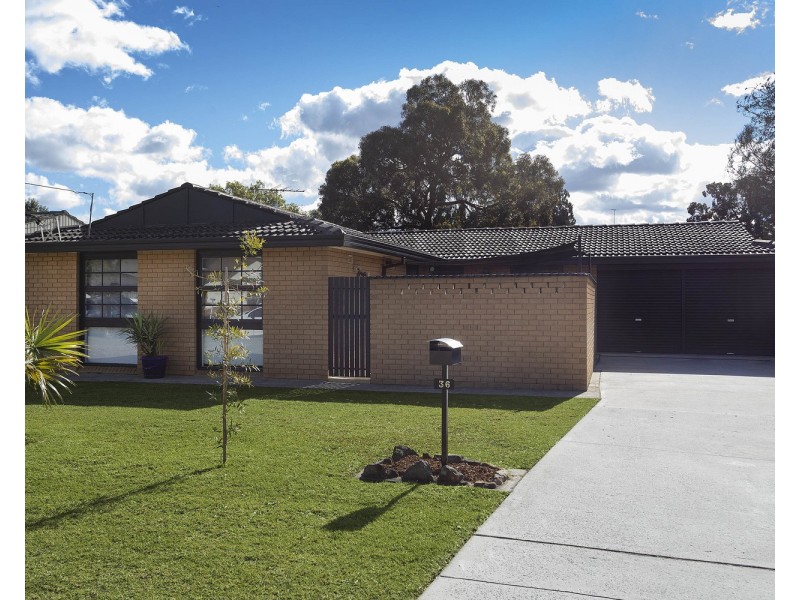 36 Archibald Street, Padstow NSW 2211