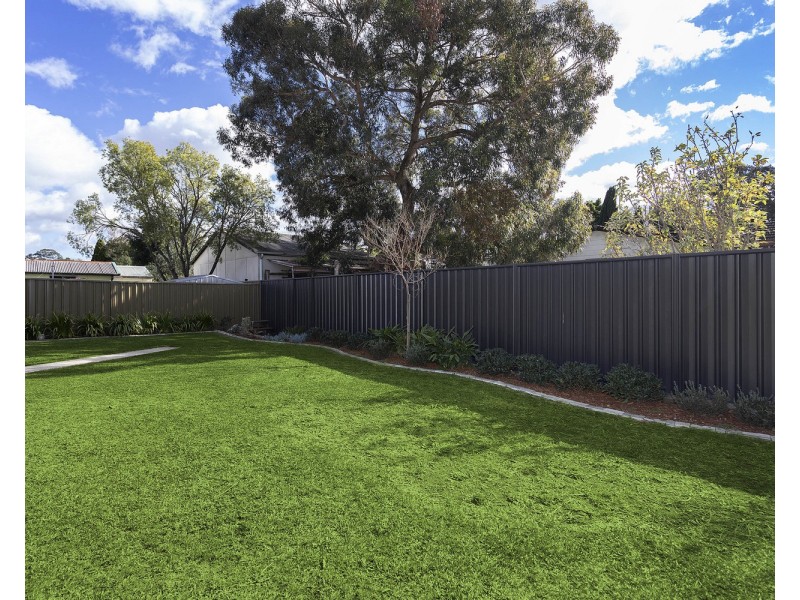 36 Archibald Street, Padstow NSW 2211