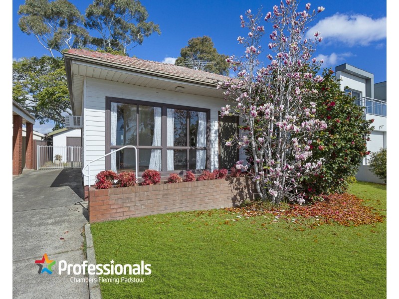 115 Beaconsfield Street, Revesby NSW 2212