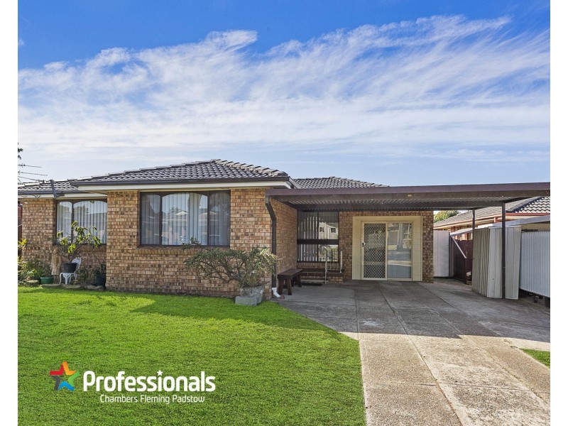 6 Treadgold Street, Milperra NSW 2214