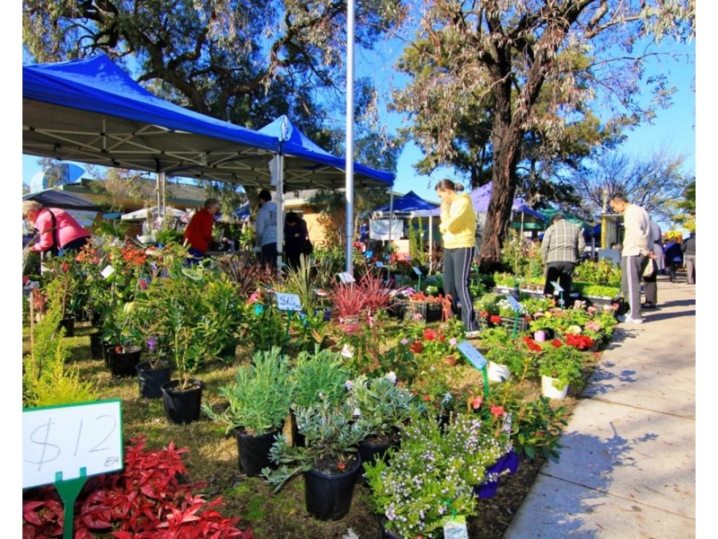 28 Brighton Avenue, Panania NSW 2213