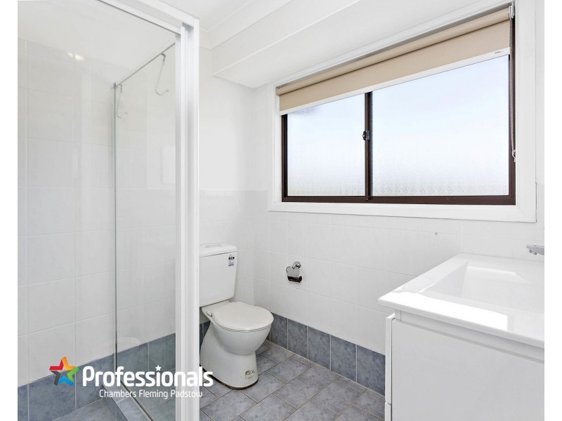 10 Clive Street, Revesby NSW 2212