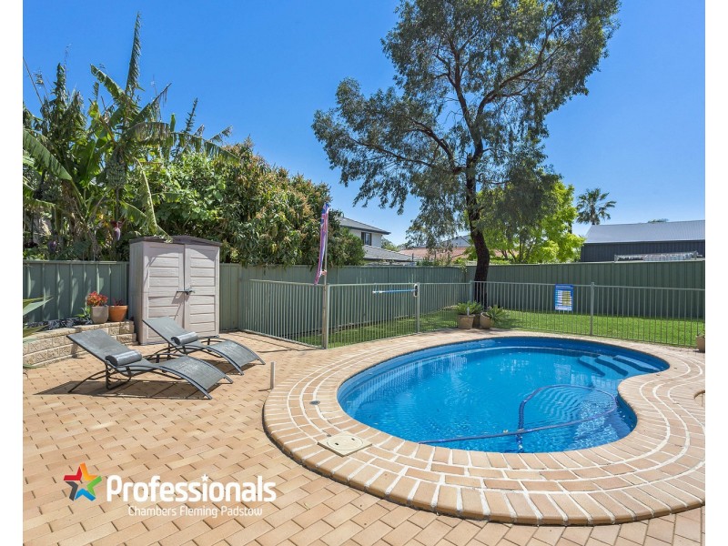 10 Clive Street, Revesby NSW 2212