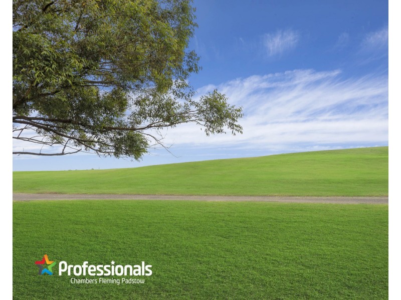 34 Kentucky Road, Riverwood NSW 2210